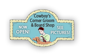 Stay tuned for the grand opening of our new little Groom and Board Shop!